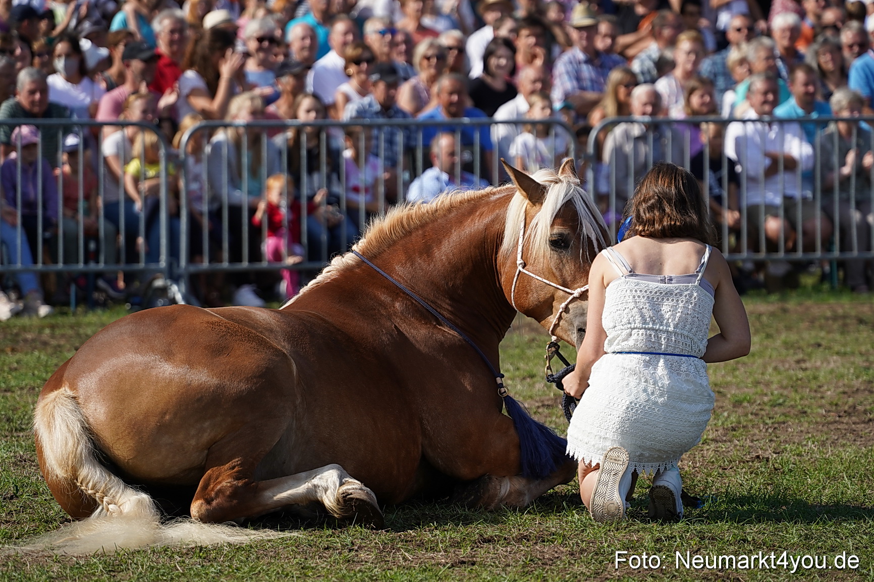 Pferde und Fohlenschau 2022 0155 